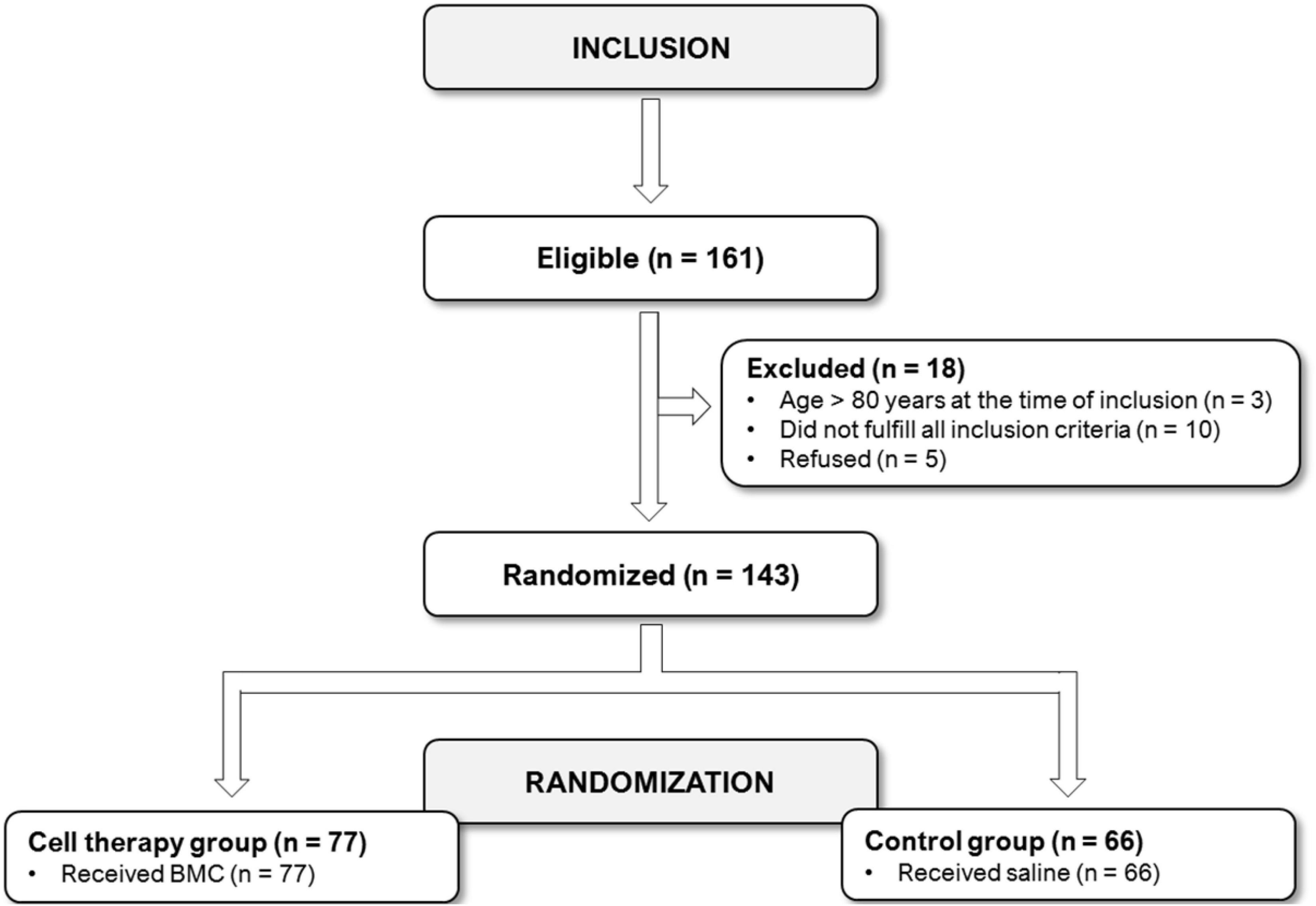 Additional improvement in regional myocardial ischemia after intracardiac injection of bone marrow cells during CABG surgery